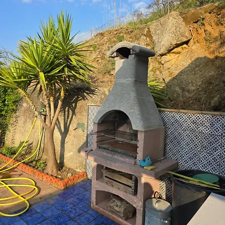 Singola *