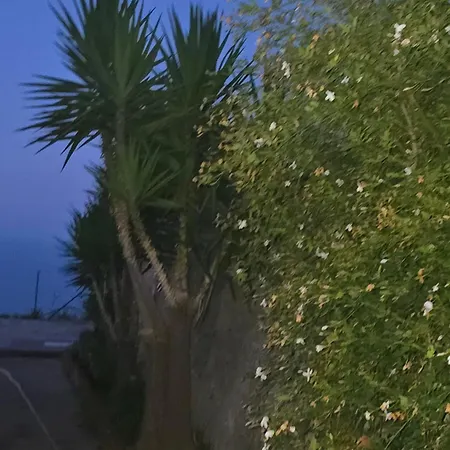 Vila Singola